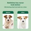 imageEarth Rated 3in1 Deshedding Dog Shampoo and Conditioner Deodorizing Oatmeal Shampoos for Dogs and Puppies Great for Smelly Pets White Tea and Basil Scent 16 ozDeshedding