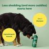 imageEarth Rated 3in1 Deshedding Dog Shampoo and Conditioner Deodorizing Oatmeal Shampoos for Dogs and Puppies Great for Smelly Pets White Tea and Basil Scent 16 ozDeshedding