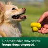 imageEarth Rated Dog Ball Interactive Fetch Toy for All Breeds Comes in Multiple Sizes Made with Natural Rubber Perfect for Indoor and Outdoor Use Large YellowSmall