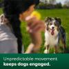 imageEarth Rated Dog Ball Interactive Fetch Toy for All Breeds Comes in Multiple Sizes Made with Natural Rubber Perfect for Indoor and Outdoor Use Large YellowMedium