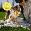 imageEarth Rated Dog Ball Interactive Fetch Toy for All Breeds Comes in Multiple Sizes Made with Natural Rubber Perfect for Indoor and Outdoor Use Large YellowSmall