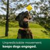 imageEarth Rated Dog Ball Interactive Fetch Toy for All Breeds Comes in Multiple Sizes Made with Natural Rubber Perfect for Indoor and Outdoor Use Large YellowLarge