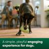 imageEarth Rated Treat Dispensing Dog Toys Enrichment Toy for Adult and Puppy Dogs Slow Feeder Dishwasher and FreezerSafe Natural Rubber Small GreenTreat Toy