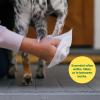imageEarth Rated VetDeveloped Pet Ear Wipes Hypoallergenic Cleaner for Dogs ampamp Cats Ears to Remove Dirt and Wax Build Up Wild Oat Scent 70 CountUnscented